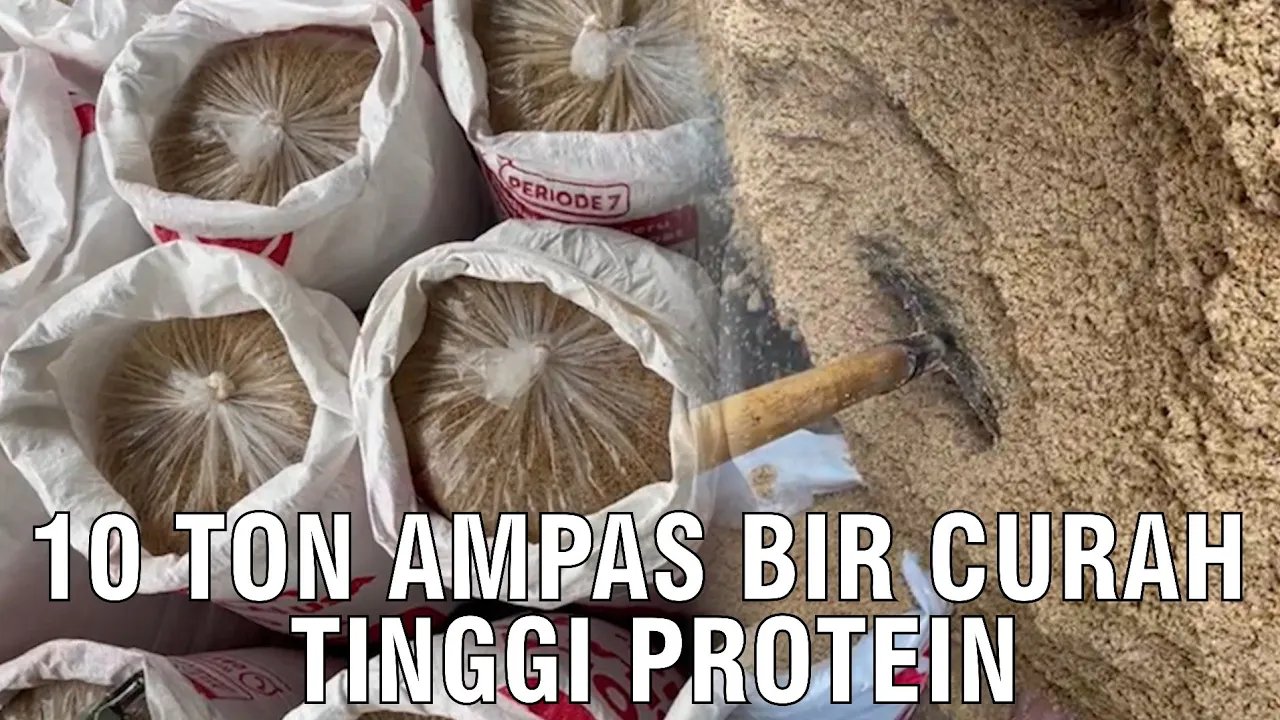
                                 Kedatangan-Ampas-Bir-Curah-10-Ton